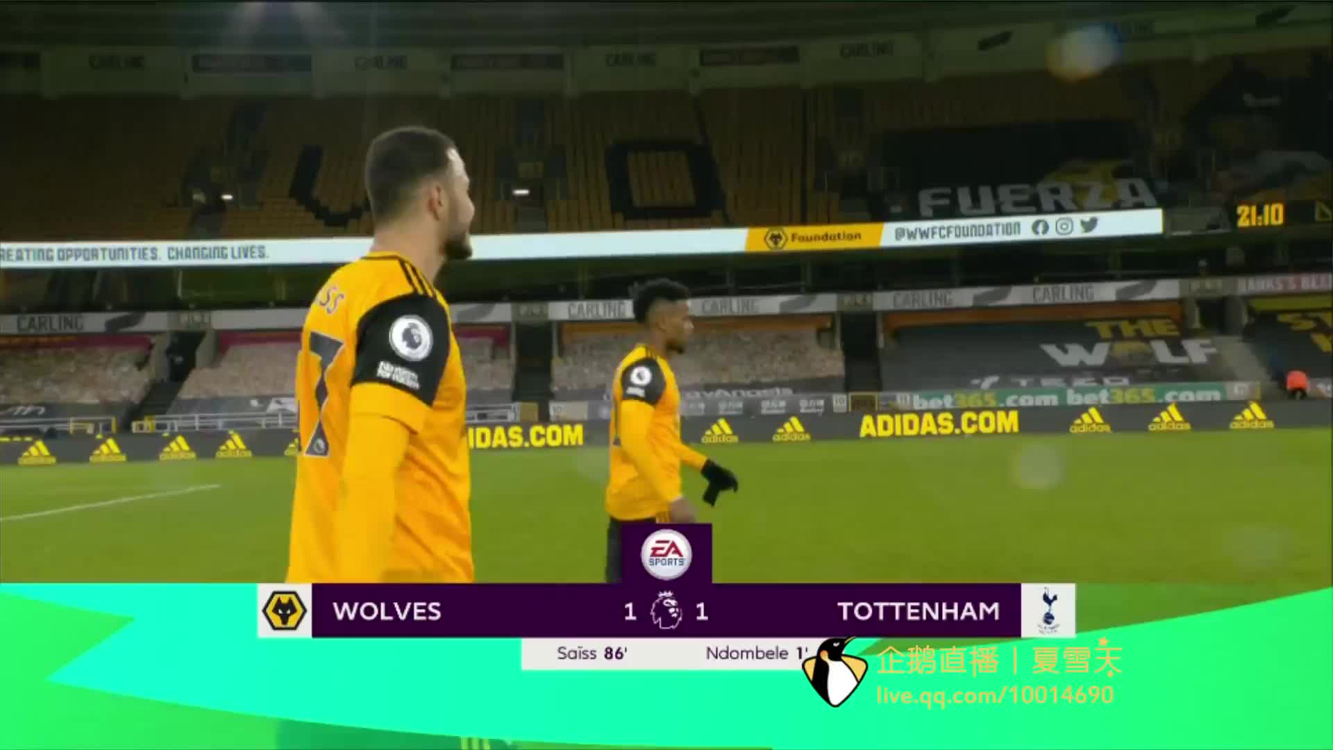 种篮球趋势 种篮球趋势